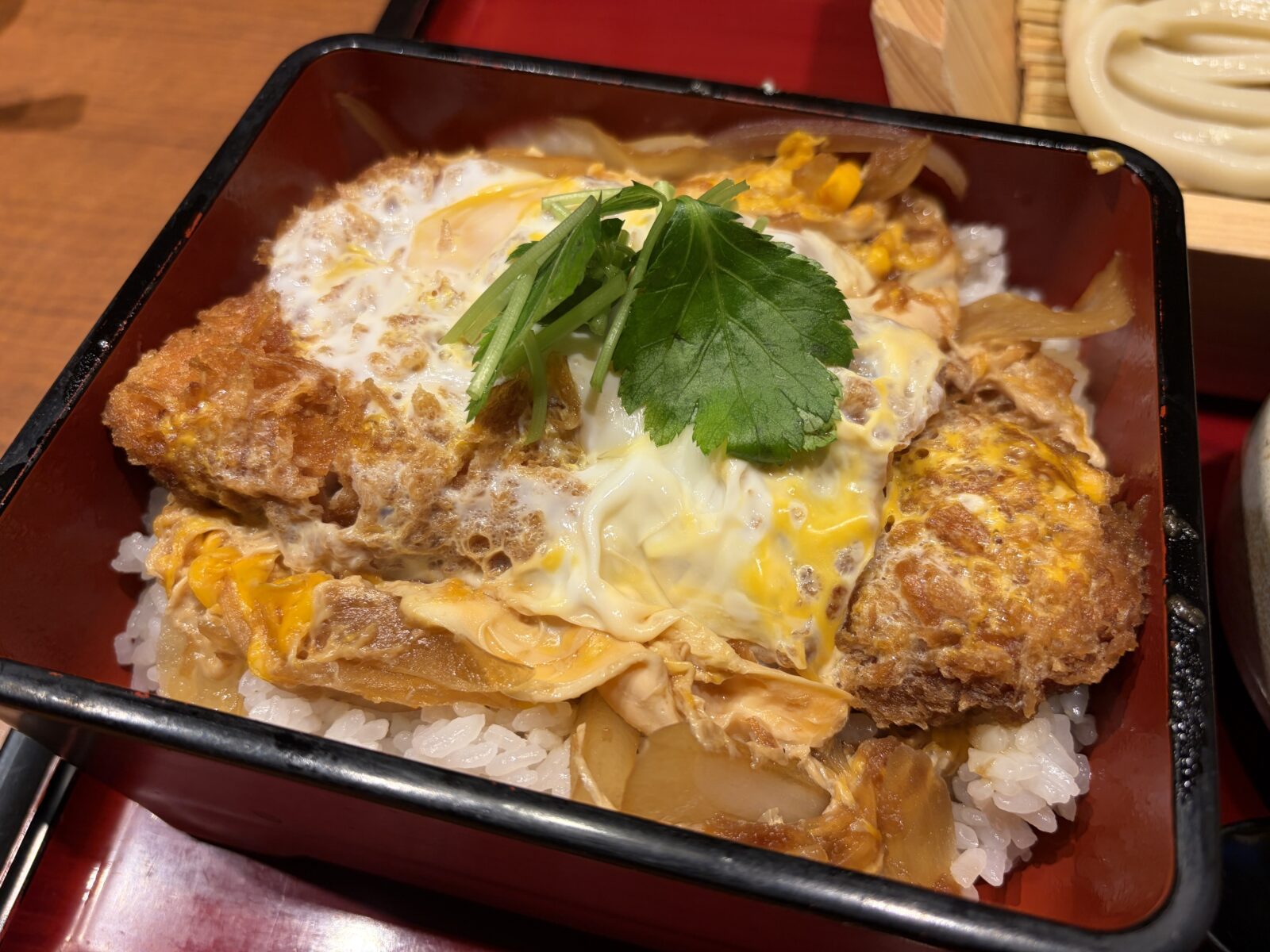 つくば・坂東太郎 研究学園総本店の極かつ重のアップ